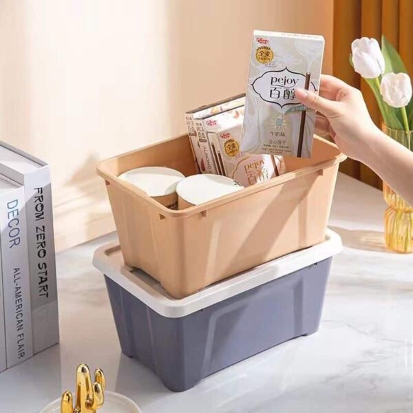 10L clear storage container