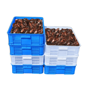 Crate for Fruit and Vegetables