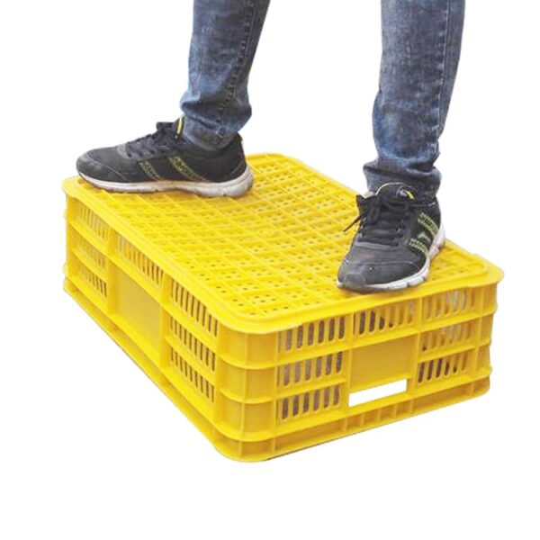 Crate for Fruit and Vegetables