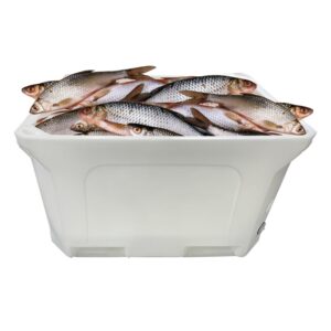 insulated fish totes for sale