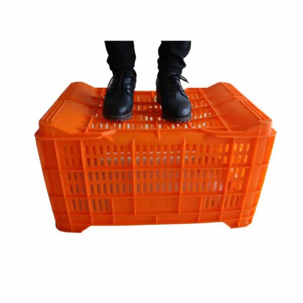 plastic crates for vegetables