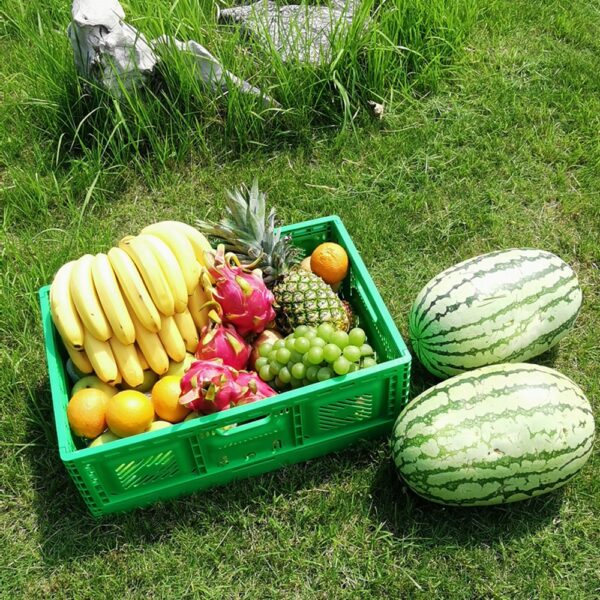 Plastic foldable crates for groceries