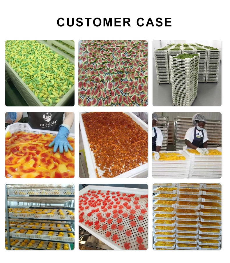 Food Dehydrator Tray use case