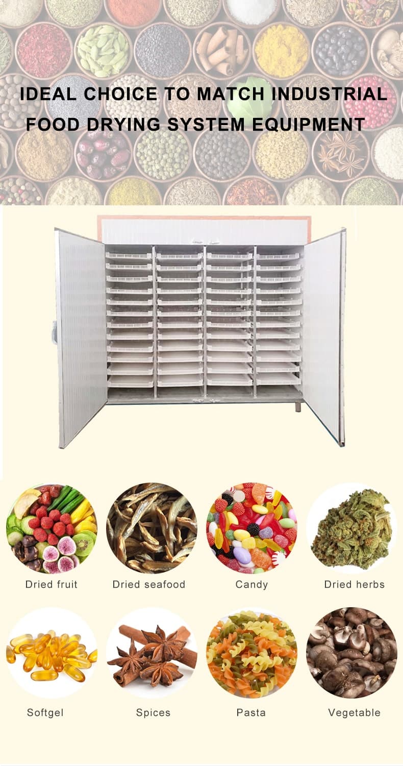 Plastic mesh Food Dehydrator Tray suitable case