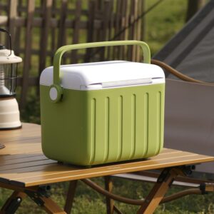 Portable Mini Cooler Box