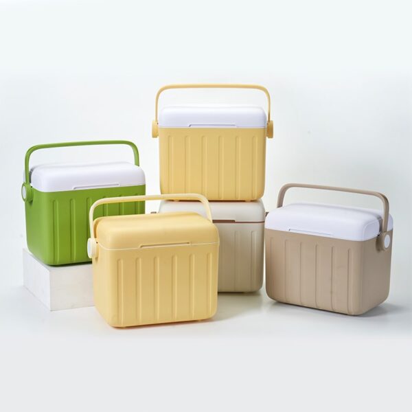Portable Mini Cooler Box