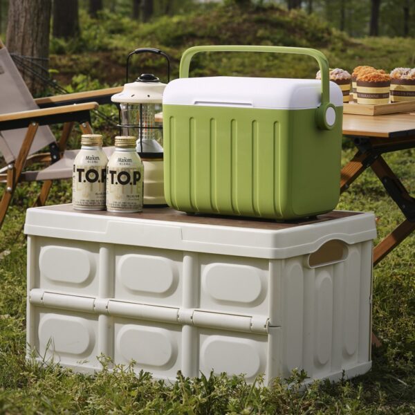 Portable Mini Cooler Box