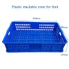 vegetable tray plastic