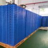 vegetable tray plastic